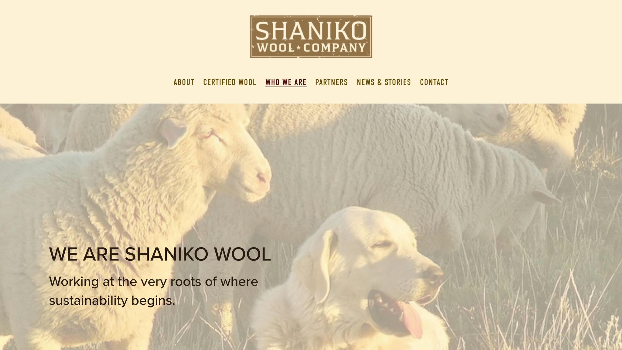 Shaniko Wool Co