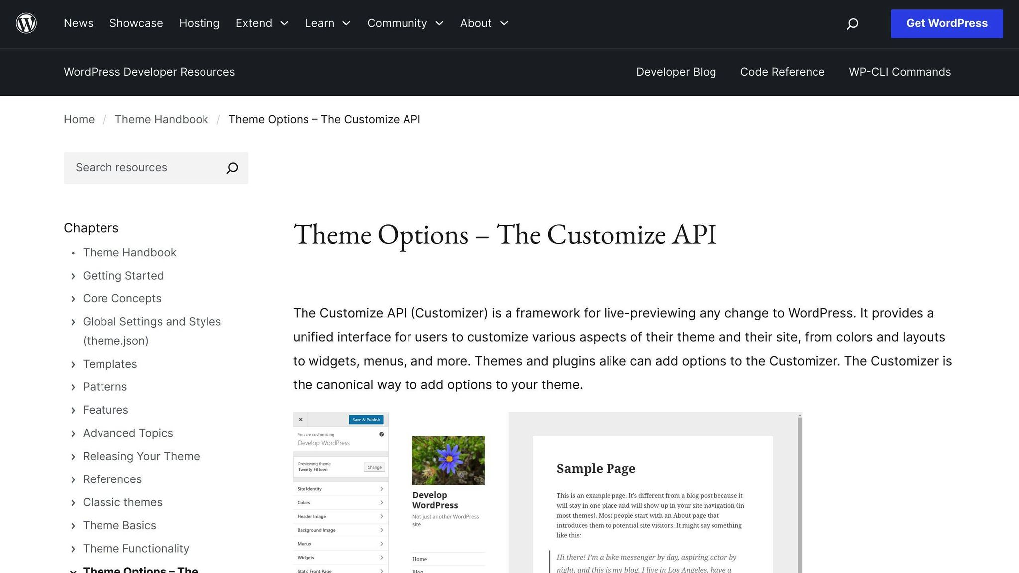 Customizer API