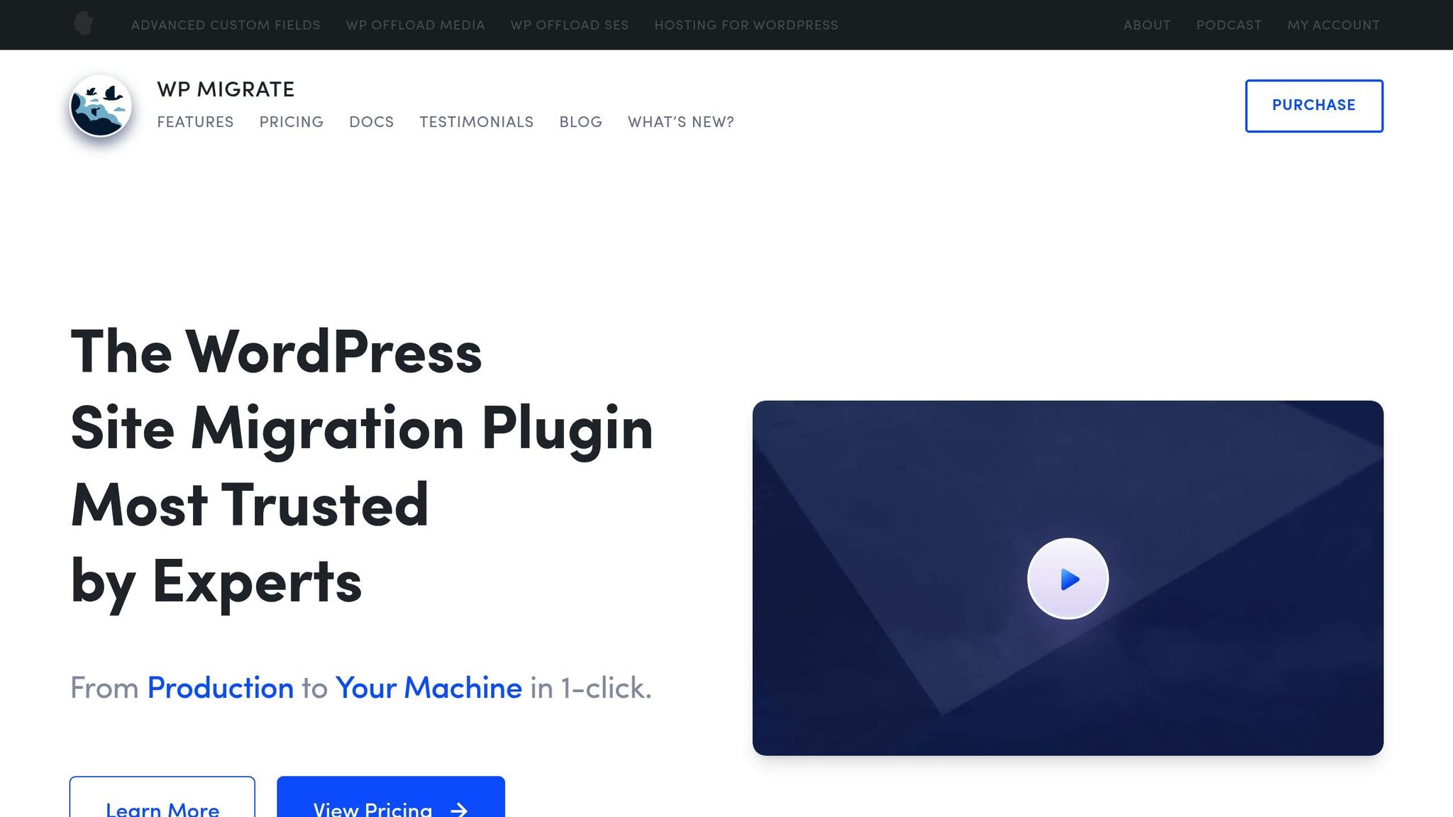 WP Migrate