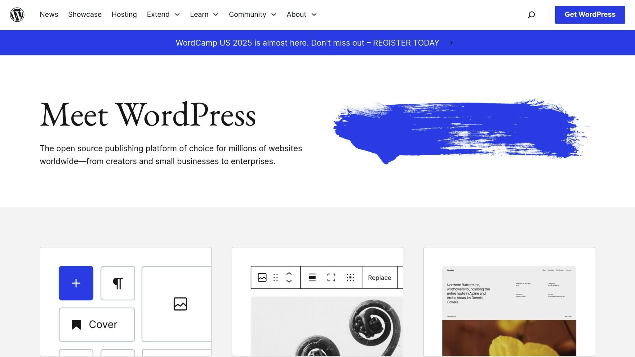 WordPress