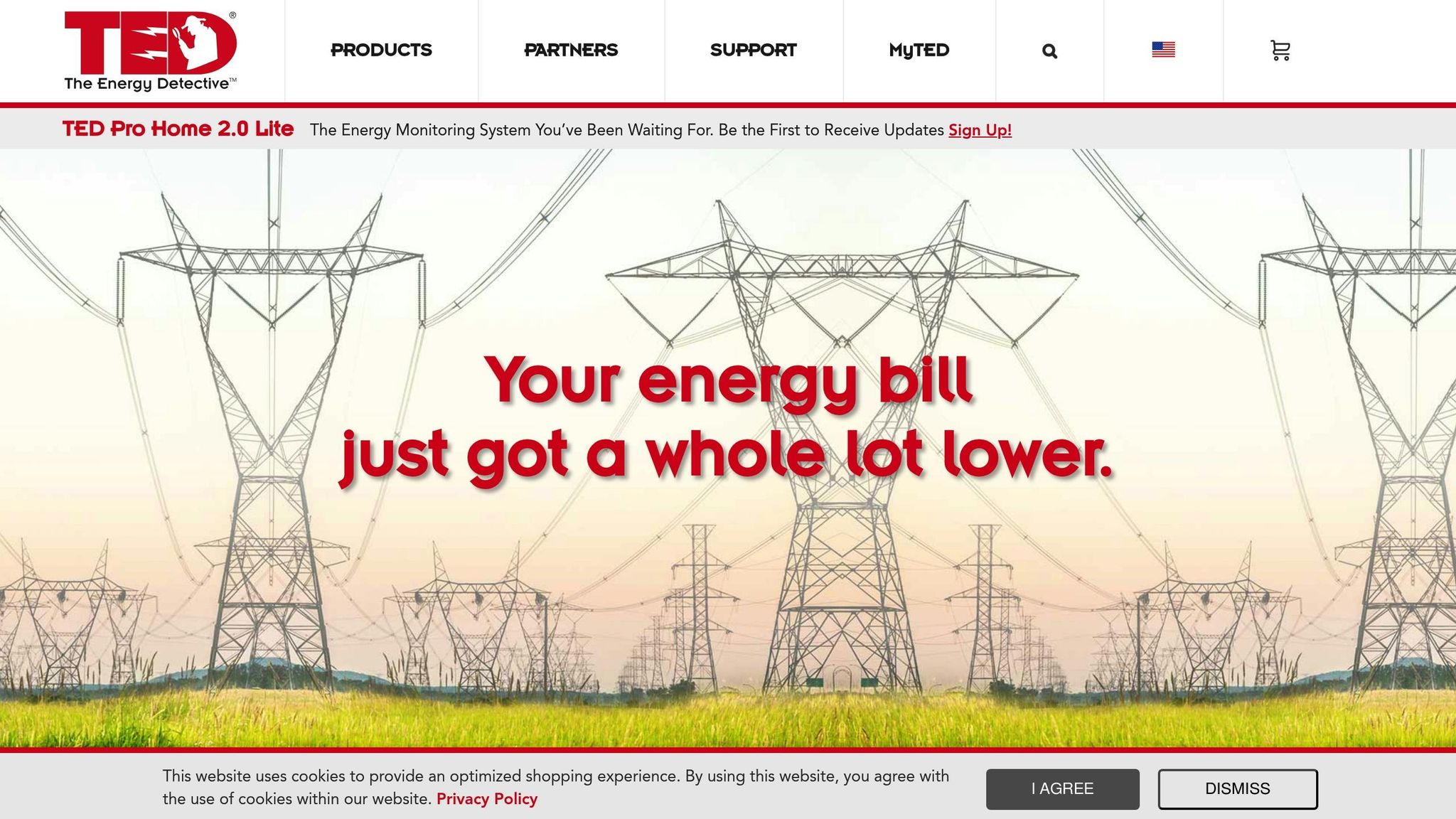 The Energy Detective
